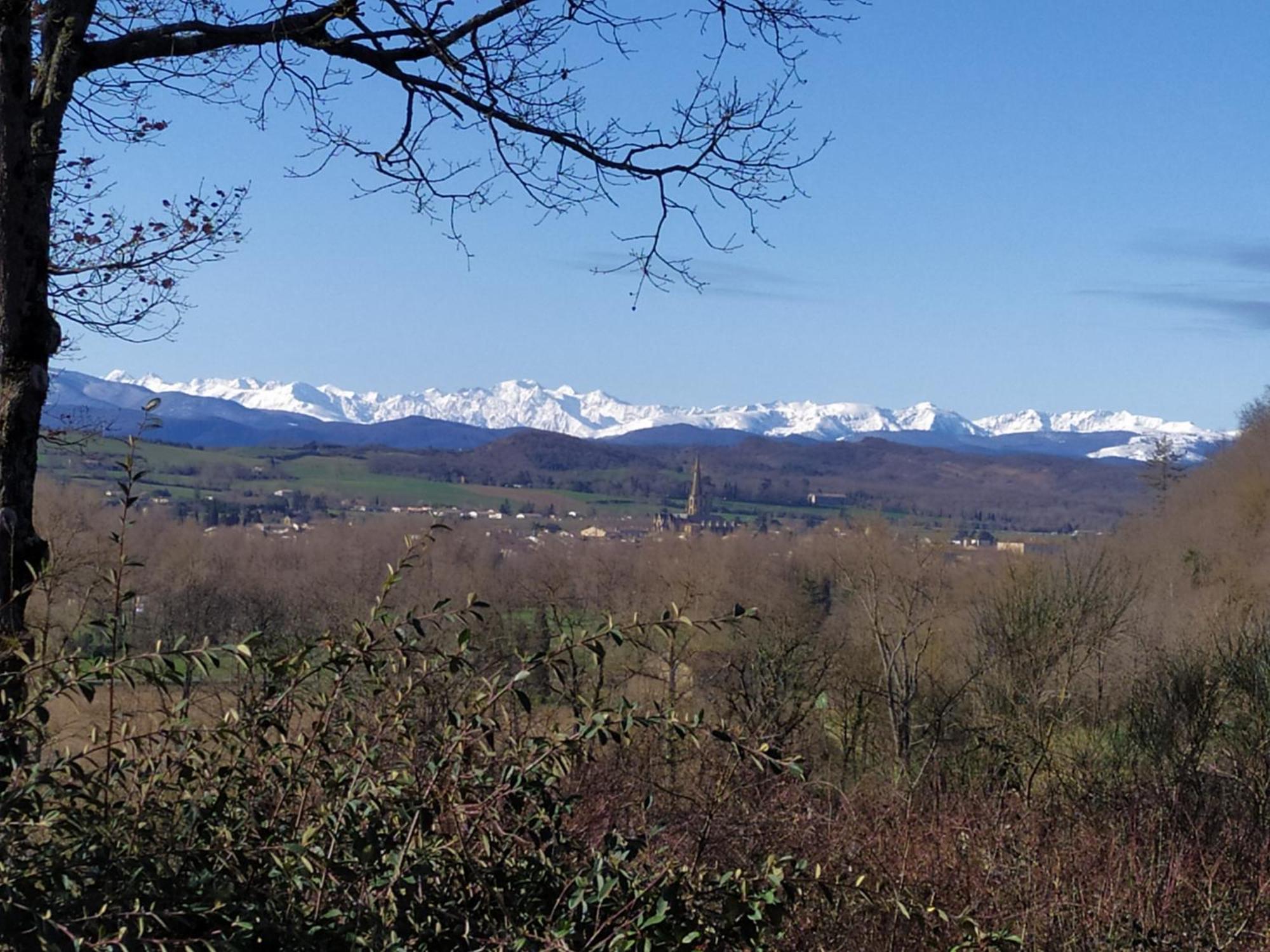 - - - - -Les Colombages - - - - Chambre D'Hotes-Gite- Classement Gite 3 Etoiles Mirepoix  Bagian luar foto