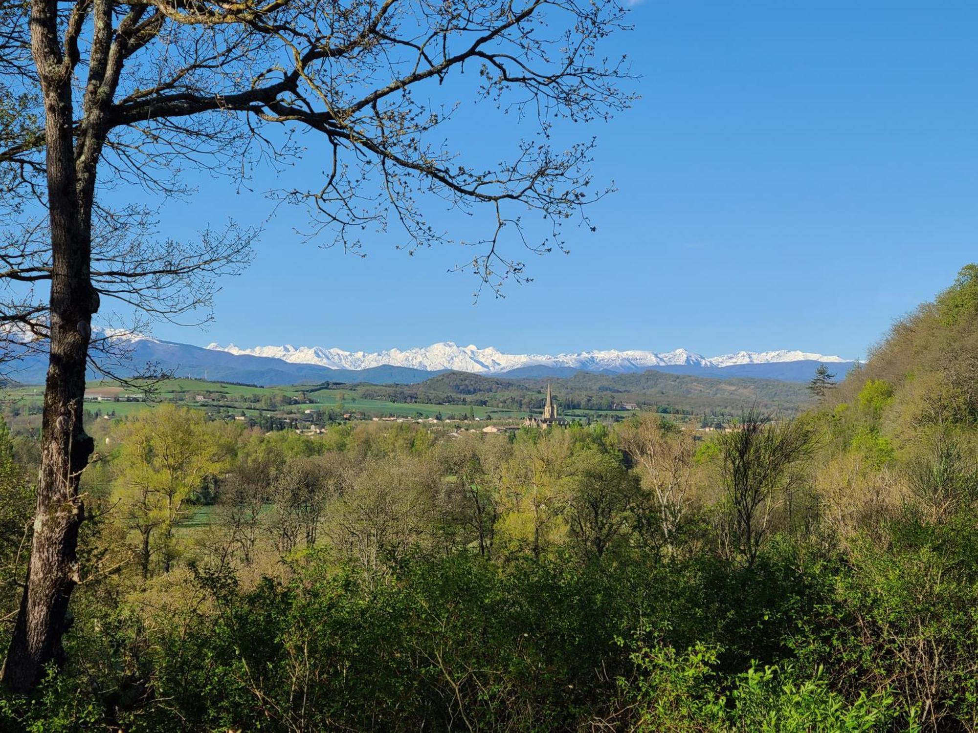 - - - - -Les Colombages - - - - Chambre D'Hotes-Gite- Classement Gite 3 Etoiles Mirepoix  Bagian luar foto