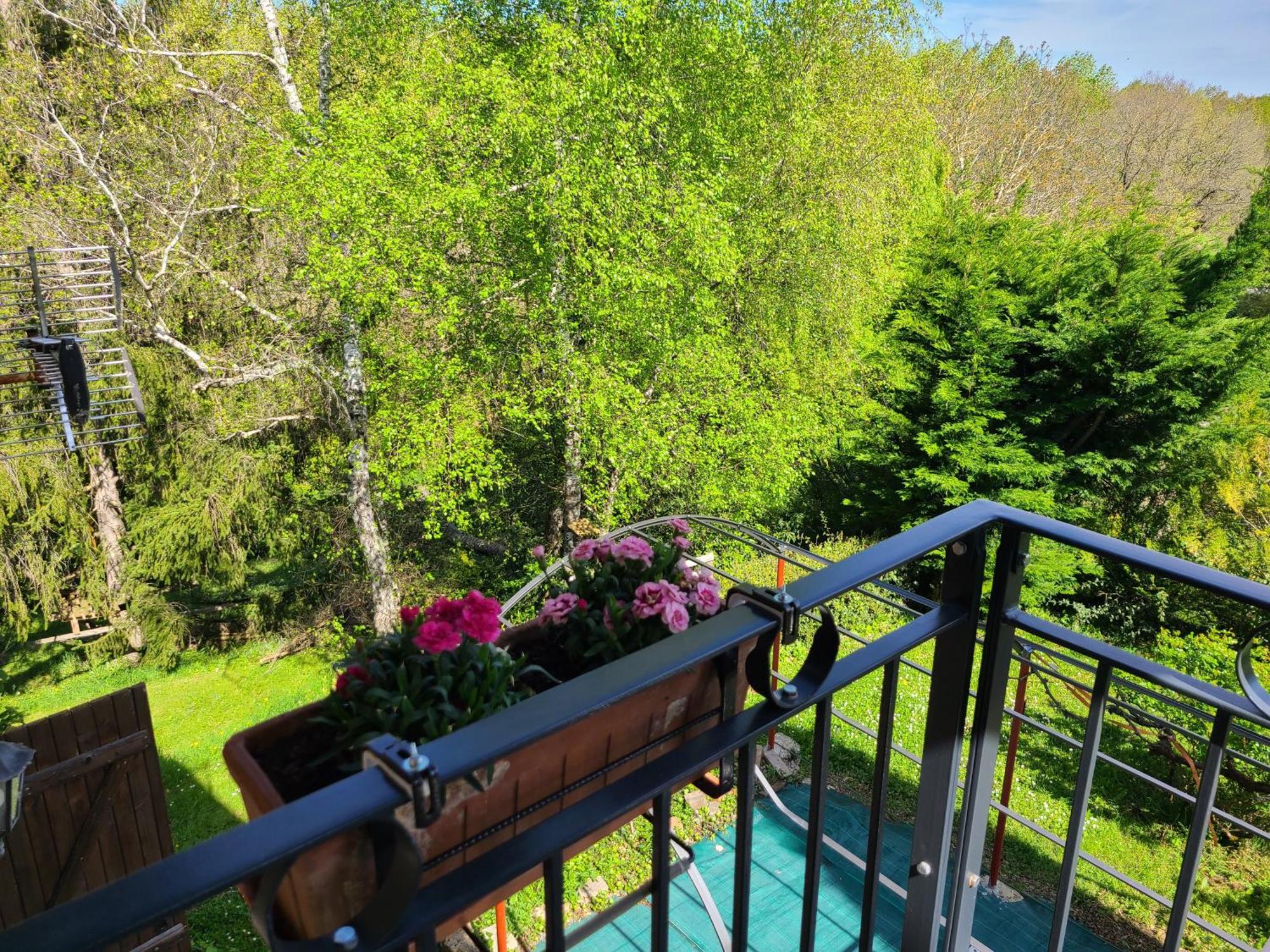 - - - - -Les Colombages - - - - Chambre D'Hotes-Gite- Classement Gite 3 Etoiles Mirepoix  Bagian luar foto